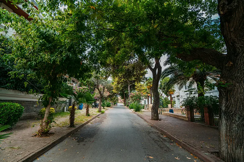 hoa sidewalk